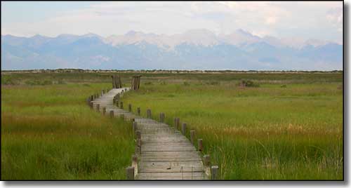 wooden boardwalk with the Sangre de Cristo's in the background