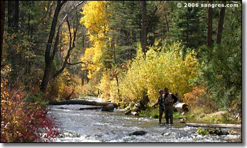 A couple fishermen trying their luck in Cimarron Canyon
