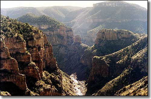 arizona salt river