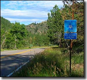 Byway sign on the Cache la Poudre-North Park Scenic Byway