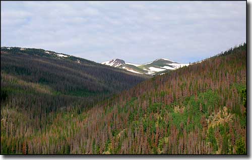 Rawah Wilderness lies along the eastern slopes of the Medicine Bow Mountains