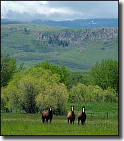 Lodge Grass, Montana