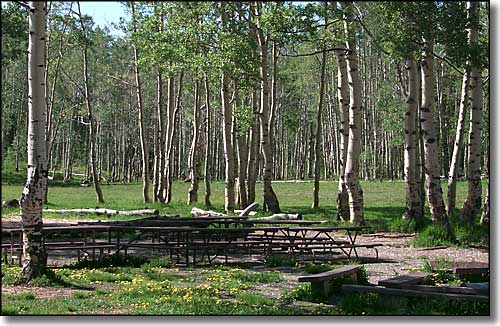 Dixie National Forest Campgrounds