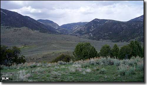Highland Ridge Wilderness, Nevada