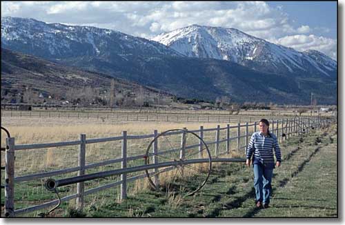 Washoe County ranching, Nevada