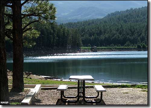 Picnic table at one of the campsites at Morphy Lake State Park