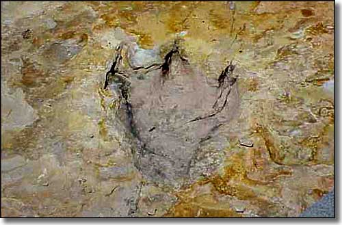 Fossilized dinosaur footprint at Clayton Lake State Park, Clayton, New Mexico