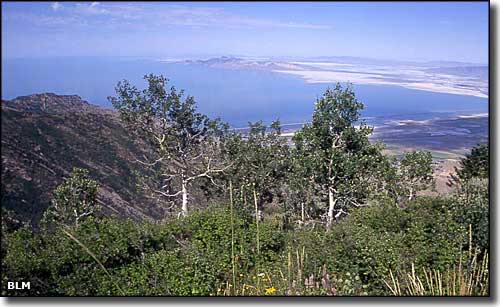 North Stansbury Mountains Wilderness Study Area