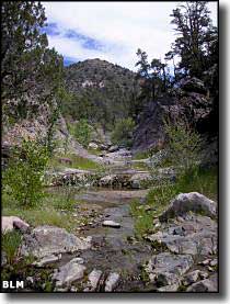 Slaughter Creek in Slaughter Creek Wilderness