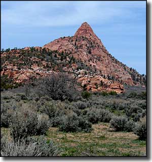 Red Butte in Red Butte Wilderness