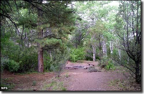 Fishlake National Forest Campgrounds