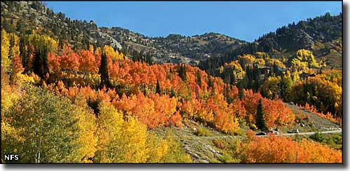 More fall colors along the Little Cottonwood Canyon Scenic Byway