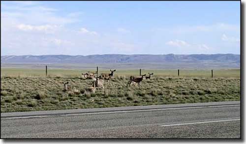 A typical scene in Converse County, Wyoming